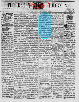 Page thumbnail for The Daily Phoenix