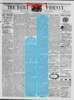 Page thumbnail for The Daily Phoenix