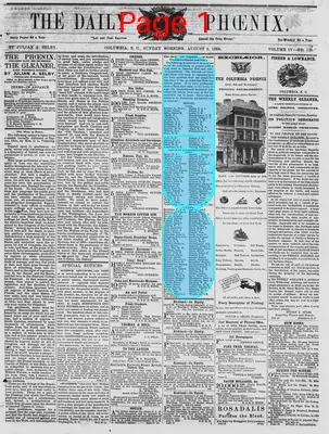 Page thumbnail for The Daily Phoenix