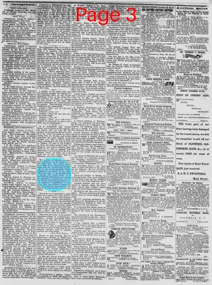 Page thumbnail for The Daily Phoenix
