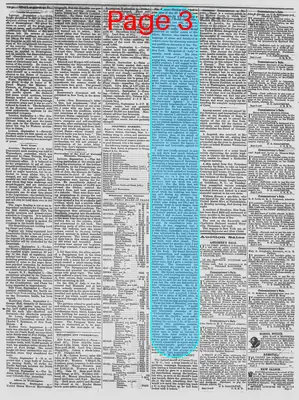 Page thumbnail for The Daily Phoenix