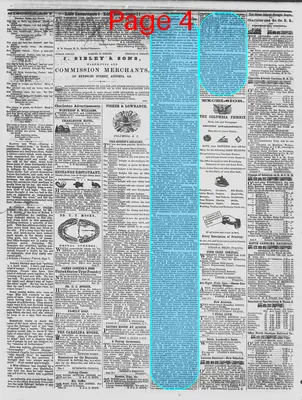 Page thumbnail for The Daily Phoenix
