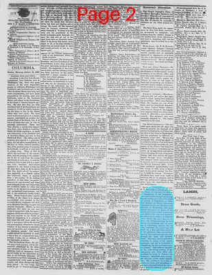 Page thumbnail for The Daily Phoenix