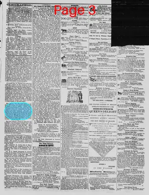 Page thumbnail for The Daily Phoenix