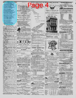 Page thumbnail for The Daily Phoenix
