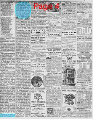 Page thumbnail for The Daily Phoenix