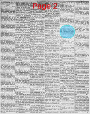 Page thumbnail for The Daily Phoenix