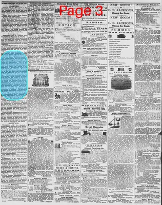 Page thumbnail for The Daily Phoenix