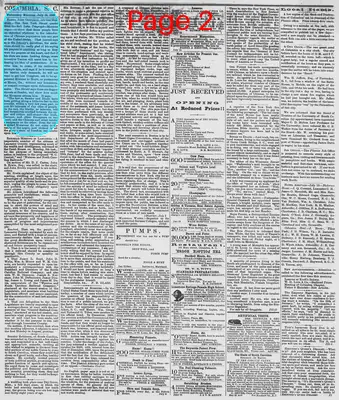 Page thumbnail for The Daily Phoenix
