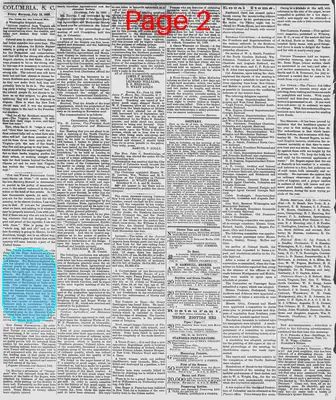 Page thumbnail for The Daily Phoenix