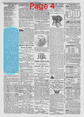 Page thumbnail for The Daily Phoenix