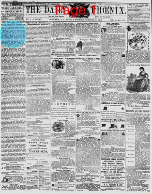 Page thumbnail for The Daily Phoenix