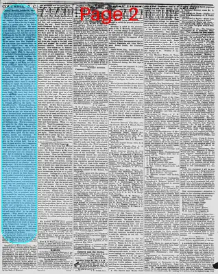 Page thumbnail for The Daily Phoenix