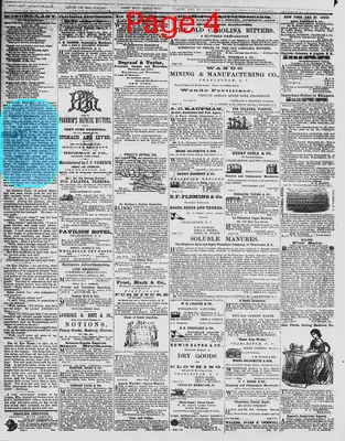 Page thumbnail for The Daily Phoenix