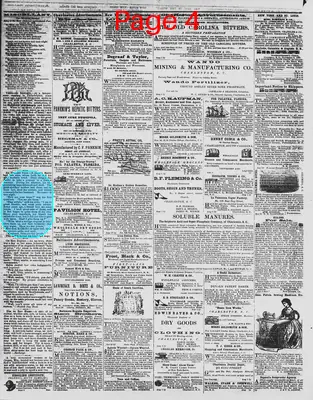 Page thumbnail for The Daily Phoenix