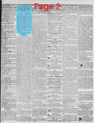 Page thumbnail for The Daily Phoenix
