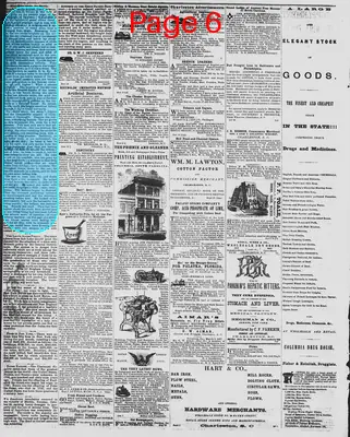 Page thumbnail for The Daily Phoenix