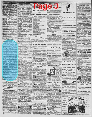 Page thumbnail for The Daily Phoenix