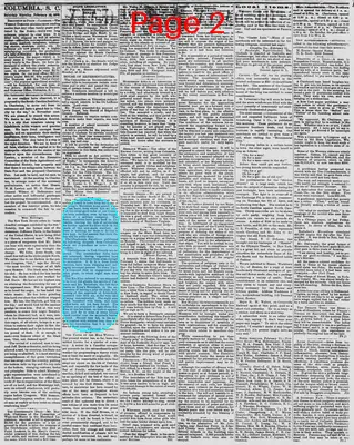 Page thumbnail for The Daily Phoenix