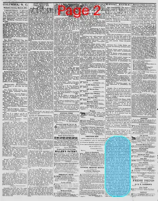 Page thumbnail for The Daily Phoenix