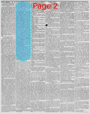Page thumbnail for The Daily Phoenix