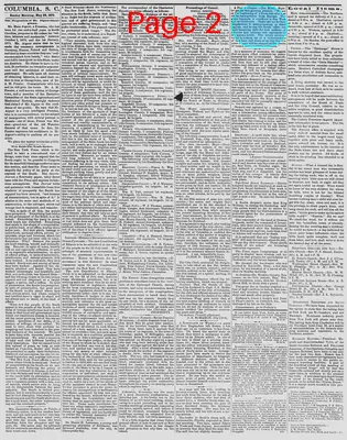 Page thumbnail for The Daily Phoenix