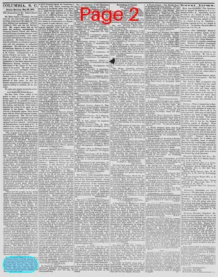 Page thumbnail for The Daily Phoenix
