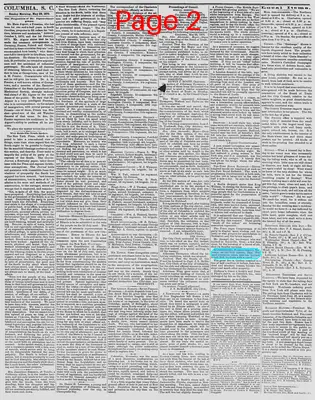 Page thumbnail for The Daily Phoenix