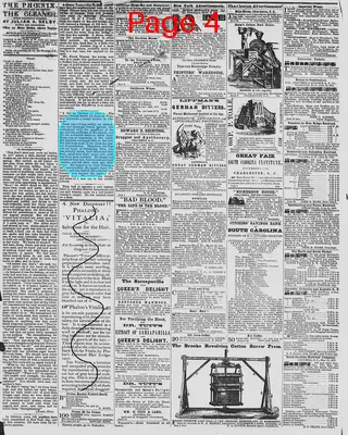 Page thumbnail for The Daily Phoenix
