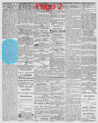 Page thumbnail for The Daily Phoenix
