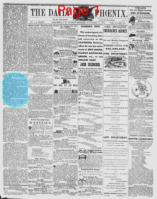 Page thumbnail for The Daily Phoenix