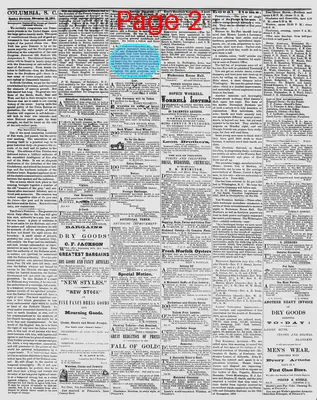Page thumbnail for The Daily Phoenix