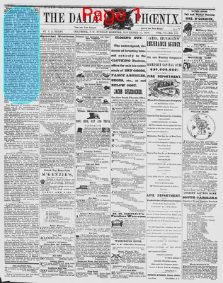 Page thumbnail for The Daily Phoenix