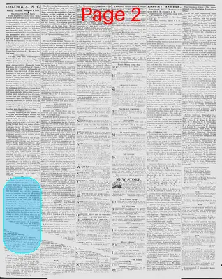 Page thumbnail for The Daily Phoenix