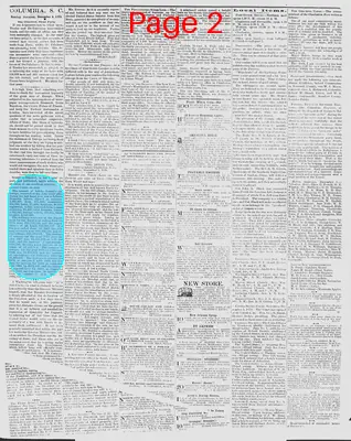 Page thumbnail for The Daily Phoenix