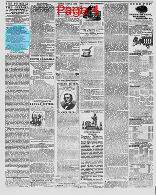 Page thumbnail for The Daily Phoenix