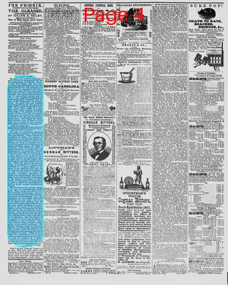 Page thumbnail for The Daily Phoenix