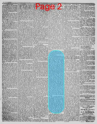 Page thumbnail for The Daily Phoenix