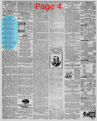 Page thumbnail for The Daily Phoenix