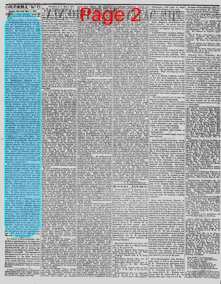 Page thumbnail for The Daily Phoenix