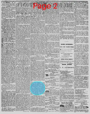 Page thumbnail for The Daily Phoenix