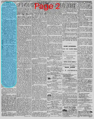 Page thumbnail for The Daily Phoenix
