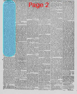Page thumbnail for The Daily Phoenix