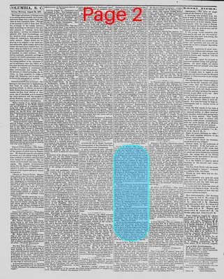 Page thumbnail for The Daily Phoenix