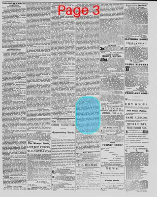 Page thumbnail for The Daily Phoenix