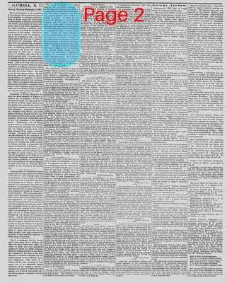 Page thumbnail for The Daily Phoenix