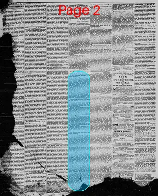 Page thumbnail for The Daily Phoenix