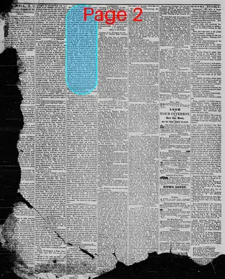 Page thumbnail for The Daily Phoenix