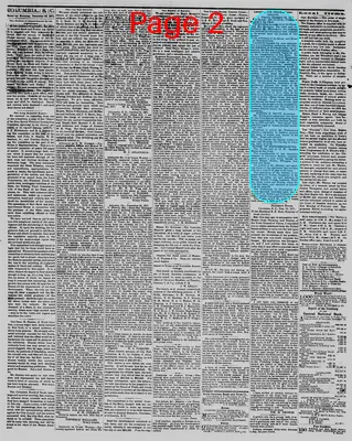 Page thumbnail for The Daily Phoenix