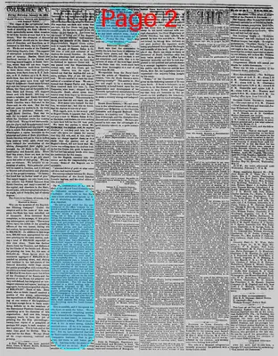 Page thumbnail for The Daily Phoenix